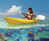 kayak-snorkel-ecotour.jpg