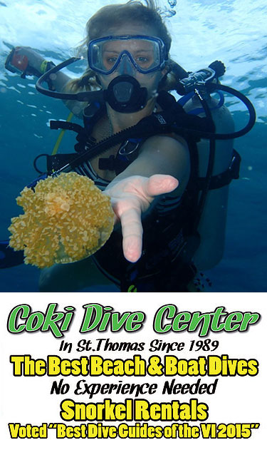 Coki Dive Center on St. Thomas US Virgin Islands