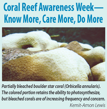 Coral Reef Awareness Week