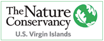 The Nature Conservancy in the US Virgin Islands