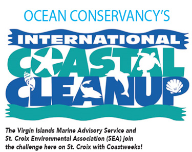 Ocean Conservancy's International Coastal Cleanup