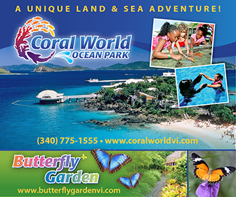 336-coral-world