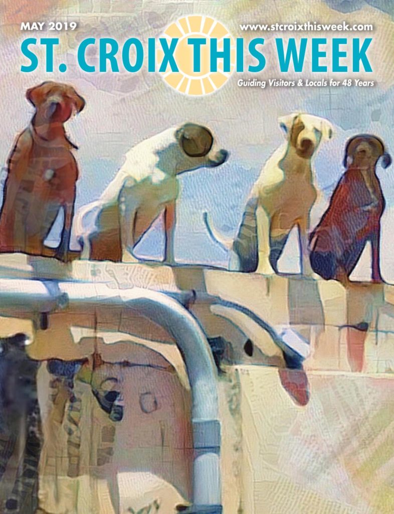 St. Croix This Week - May 2019