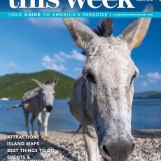 St. Thomas and St. John This Week - March 2018