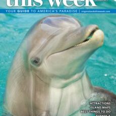 St. Thomas and St. John This Week - Summer 2019