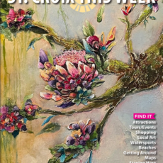 St Croix This Week April 2026