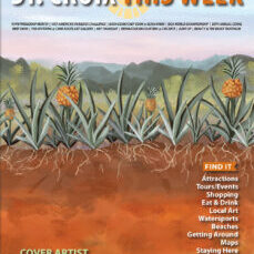 St-Croix-This-Week-October-2026-cover