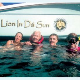 article-lion-in-da-sun-icon.jpg