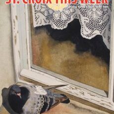 St. Croix This Week - March 2019
