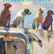 St. Croix This Week - May 2019