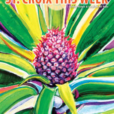 St. Croix This Week - June 2019